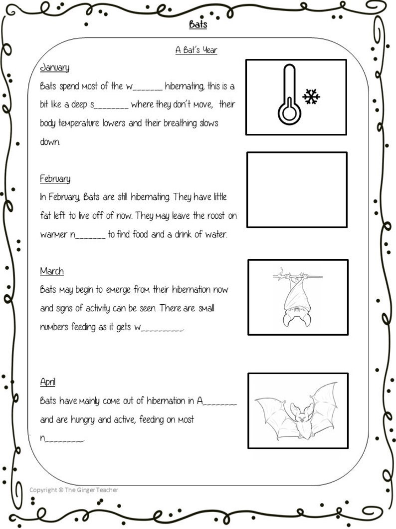 BATS LESSON Powerpoint and Worksheets Classroom Teaching Resources ...