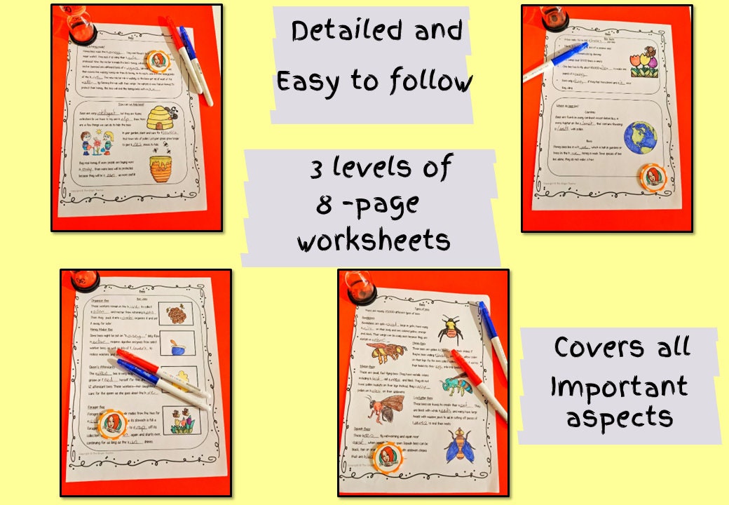 Bees Lesson Classroom Teaching Resources Home School Learning Homework ...