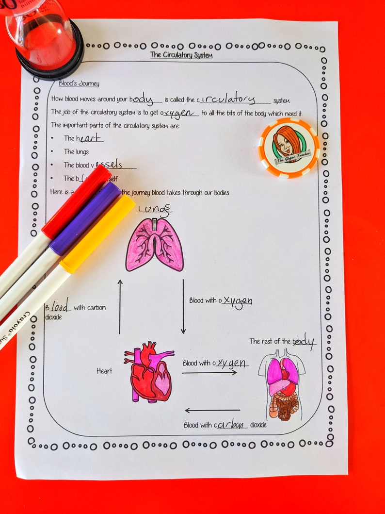Blood Lesson the Circulatory System Classroom Teaching Resources ...