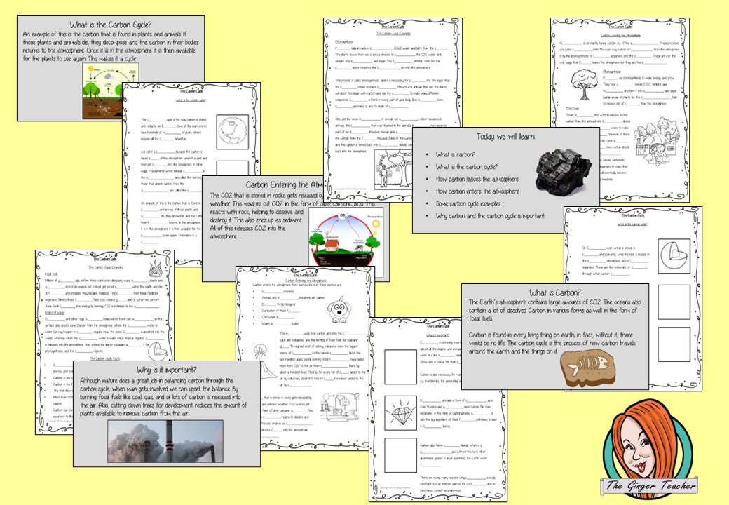 The Carbon Cycle Science Lesson Teaching Resources Home School Teacher ...