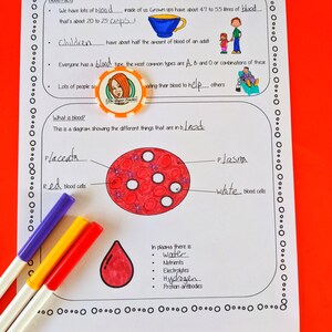 Blood Lesson the Circulatory System Classroom Teaching Resources ...