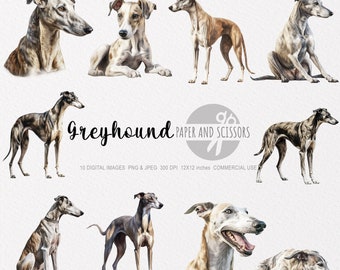 Puede incluir: Una colección de imágenes digitales que presentan galgos en varias poses y patrones de pelaje. Las imágenes muestran texto que dice "Greyhound Paper and Scissors". Las imágenes son de 12x12 pulgadas.