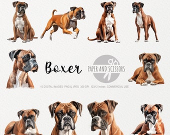 May include: A collection of digital images featuring Boxer dogs in various poses. The dogs are primarily brown and white, with detailed facial features. The images include the text "Boxer" and "Paper and Scissors".