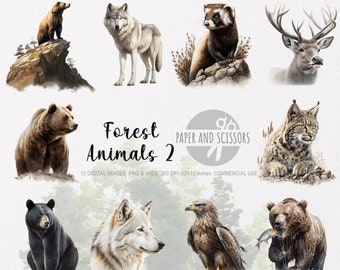 Forest Animals Clipart, Forest Animals PNG, Animals illustration, Animals Clipart, Transparent background, Instant download, Wall Art, 12x12
