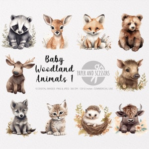 Baby bosdieren clipart, baby bosdieren PNG, baby dieren illustratie, baby dieren clipart, kinderkamer kunst aan de muur, kinderkamer decor