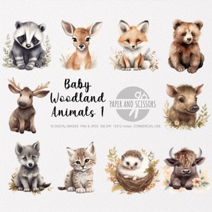 Baby Woodland Animals Clipart, Baby Woodland Animals PNG, Baby Animals illustration, Baby Animals Clipart, Nursery Wall Art, Nursery decor