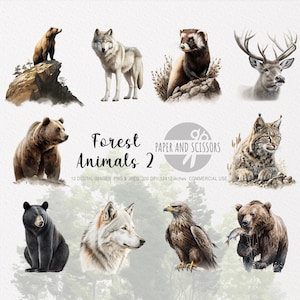 Forest Animals Clipart, Forest Animals PNG, Animals illustration, Animals Clipart, Transparante achtergrond, Instant download, Wall Art, 12x12