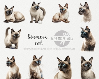 Siamese Cat Clipart, Cat PNG, Siamese Cat illustratie, Cat Clipart, Transparante achtergrond, Instant download, Digitale kunst, Wall Art 12x12