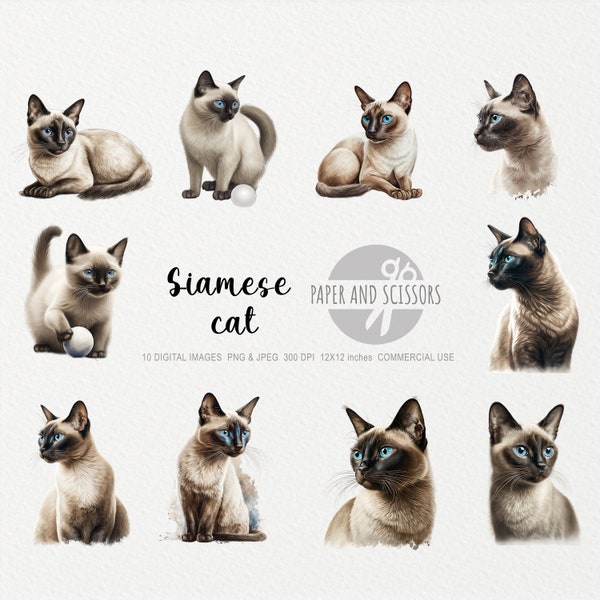 Siamese Cat Clipart, Cat PNG, Siamese Cat  illustration, Cat Clipart, Transparent background, Instant download, Digital art, Wall Art 12x12