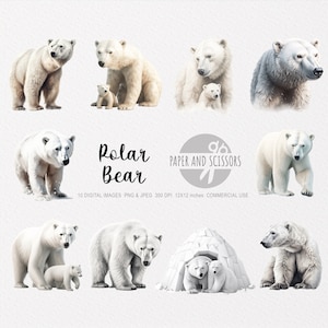 Polar Bear Clipart, Polar Bear PNG, Polar Bear illustration, Bear art Transparent background, Instant download, Digital art, Wall Art, 12x12