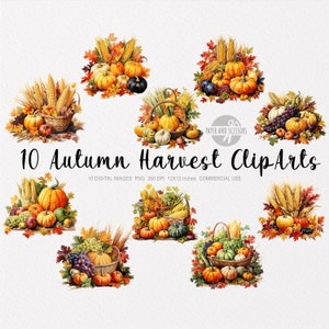 10 Herbst Ernte ClipArts, Herbst Obst & Gemüse PNG, Herbstblätter, Thanksgiving, Aquarell Kürbis, Saisonaler Obstkorb,Bauernmarkt