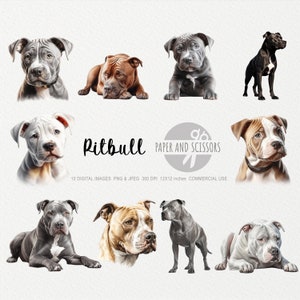Pitbull Clipart, Pitbull PNG, Pitbull Illustration, Hund Clipart, Hund PNG, Hund Aquarell, Hund Wandkunst, Hundeliebhaber, Pitbull Gemälde, Hund JPG
