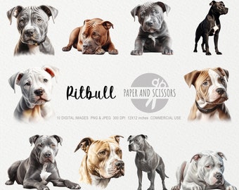 Pitbull Clipart, Pitbull PNG, Pitbull illustration, Dog Clipart, Dog PNG, Dog Watercolor, Dog Wall Art, Dog lover, Pitbull Painting, Dog JPG