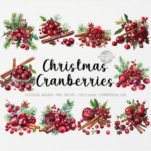 10 cliparts Noël canneberges & épices, Noël cannelle PNG, aquarelle Noël canneberges, aquarelle épice, ambiance de Noël, art confortable