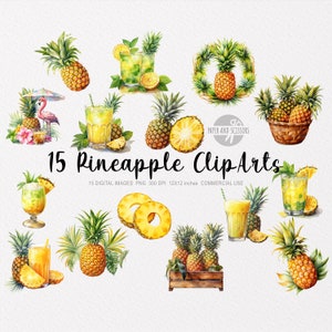 15 ClipArt di ananas, PNG di ananas, illustrazione di ananas, ananas dell'acquerello, ananas floreale, PNG di frutta esotica, frutta esotica
