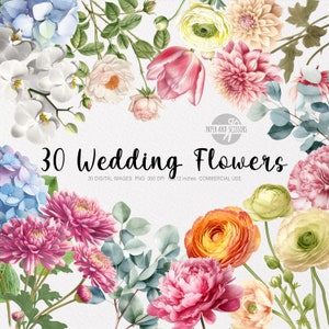 30 Hochzeitsblumen ClipArt, Rosen, Hortensie, Pfingstrosen, Eukalyptus, Tulpen, Nelke, Ranunkel, Dahlie, Orchidee PNG, Aquarell Blumen