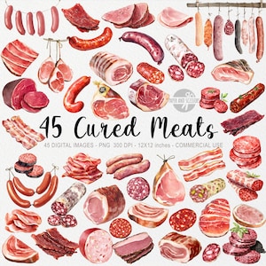 45 ClipArt di salame, Illustrazione ad acquerello di salumi, Pacchetto alimentare PNG, Prosciutto, Pancetta, Salsiccia, Jamon, Tagliere di salumi, Download immediato