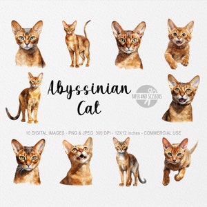 May include: Ten digital images of Abyssinian cats in various poses. The images are in watercolor style and feature the cats in different colors, including brown, orange, and black. The images are 12x12 inches and 300 DPI.