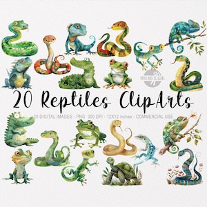20 cliparts de répteis, aquarela de selva PNG, arte de parede de chá de bebê, decoração de berçário, cobra fofa, crocodilo, lagarto, tartaruga, download instantâneo