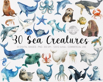 30 ClipArts de animales marinos, PNG de acuarela submarina, arte de pared para baby shower, decoración de guardería, océano lindo, pegatinas, ballena, tiburón, orca, morsa, arte
