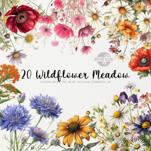 20 Wildflower Meadow ClipArt, Wildflower PNG, Fleurs aquarelles, Floral PNG, Fleurs ClipArt, Fleurs PNG, Bordure fleurie, Motif floral