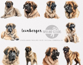 Léonberg Clipart, Léonberg PNG, illustration de Léonberg, chien Clipart, chien PNG, chien aquarelle, chien Wall Art, amoureux des chiens, clipart Animal