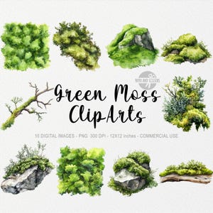 10 cliparts mousse, PNG de fleurs, illustration de printemps, impression bohème aquarelle, prairie florale, jardin, Pâques Cottagecore, coquette journal herbe
