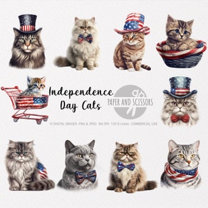 Clipart de gato del día de la independencia, PNG de gato del día de la independencia, ilustración del día de la independencia, imágenes prediseñadas de gato, PNG de gato, acuarela de gato, gato del 4 de julio