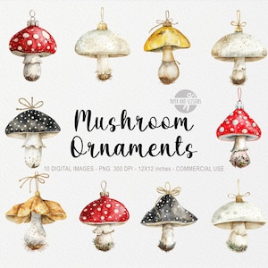 10 ClipArt di ornamenti di funghi, decorazioni natalizie PNG, inverno rustico accogliente, biglietto, stampabile, adesivo, vigilia di Natale boho, arte neutra ad acquerello