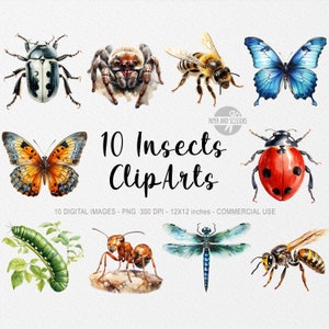10 Insects ClipArt, Insects PNG, Insects illustration, Watercolor Bugs, Bugs PNG, Spring ClipArt, Flowers PNG, Spring Decoration