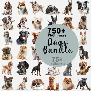 Más de 750 imágenes PNG de perros, paquete de imágenes prediseñadas de perros, PNG de perros, arte de acuarela de perros, arte mural de perros, amantes de los perros, retrievers, bulldogs, dachshunds, akitas, pastores