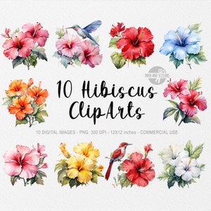 10 Hibiskus ClipArt, Hibiskus NG, Blumen Illustration, Aquarell Hibiskus, Blumen PNG, Blumen ClipArt, Blumen PNG, Hawaii Blume, Dschungel