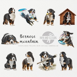 Bernese Mountain Dog Clipart, Bernese Dog PNG, Dog illustration, Dog Clipart, Transparent background, Instant download, Wall Art 12x12
