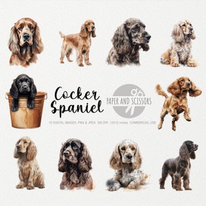 Cocker Spaniel Clipart, Cocker Spaniel PNG, Cocker Spaniel illustration, Dog Clipart, Dog PNG, Dog Watercolor, Dog Wall Art, Dog Lover Gift