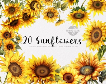 Könnte beinhalten: Ein digitaler Download von 20 Sonnenblumen-Illustrationen. Die Sonnenblumen sind in einem realistischen Stil mit gelben Blütenblättern und braunen Zentren gezeichnet. Die Illustrationen sind perfekt, um Ihren Designs einen Hauch von Sommer zu verleihen.