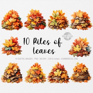 May include: Watercolor illustration of ten piles of colorful autumn leaves. The leaves are in shades of red, orange, and yellow. The text "10 Piles of leaves" is displayed in the center. The image is labeled "10 DIGITAL IMAGES - PNG 300 DPI - 12x12 inches - COMMERCIAL USE."