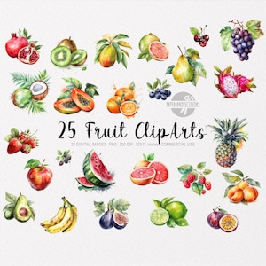 25 ClipArt di frutta ad acquerello, PNG di frutta, Illustrazione di frutta, Frutta ad acquerello, PNG di cibo, Mela, Arancia, Banana, Kiwi, Lampone, Fragola