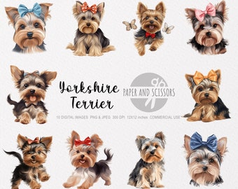 Op de afbeelding: Tien digitale afbeeldingen van Yorkshire Terrier honden met verschillende gekleurde strikken. De honden staan in verschillende poses, waaronder zittend, staand en kijken naar de camera. De afbeeldingen zijn 12x12 inch en 300 DPI.