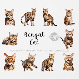 Bengal Cat ClipArt, Bengal Cat PNG, Cat illustration, Cat Cutout, Kitten ClipArt, Watercolor Cat, Kitten illustration, Bengal Cat Cutout