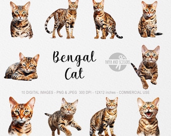 Bengal Cat ClipArt, Bengal Cat PNG, Cat illustration, Cat Cutout, Kitten ClipArt, Watercolor Cat, Kitten illustration, Bengal Cat Cutout
