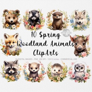 10 Spring Woodland Animals ClipArt, Baby Animals PNG, Woodland illustration, Watercolor Animals, Nursery Decor, Nursery Wall Art, Nursery