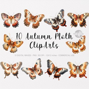 10 Herbst Motte ClipArts, Herbst MottePNG, Hallo Herbst Dekor Illustration, Thanksgiving, Halloween, Schmetterling ClipArt, Spice, Instant Download