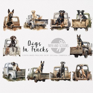 Pode incluir: Dez imagens digitais de c&atilde;es sentados na parte de tr&aacute;s de caminh&otilde;es vintage. Os caminh&otilde;es s&atilde;o de v&aacute;rias cores, incluindo azul, verde e marrom. Os c&atilde;es s&atilde;o de ra&ccedil;as diferentes, incluindo um pastor alem&atilde;o, um golden retriever, um rottweiler e um boxer.