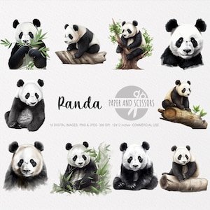Clipart de aquarela de panda, PNG de panda, ilustração de panda, arte de parede de panda, aquarela de panda, arte de parede infantil, decoração de berçário, clipart de chá de bebê