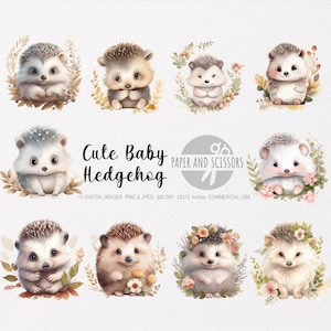 Clipart de ouriço de bebê fofo, PNG de ouriço de bebê, ouriço em aquarela, arte infantil, arte de parede infantil, decoração de berçário, animal de clipart de chá de bebê