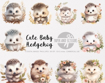 Cute Baby Hedgehog Clipart, Baby Hedgehog PNG, Watercolor Hedgehog, Children Art, Kids Wall Art, Nursery Decor, Baby Shower Clipart Animal