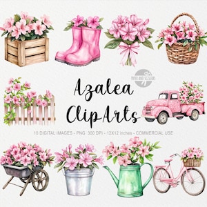 10 images clipart azalée, fleur PNG, illustration de printemps, impression bohème aquarelle, décoration florale, jardin, Pâques Cottagecore, Coquette Junk Journal
