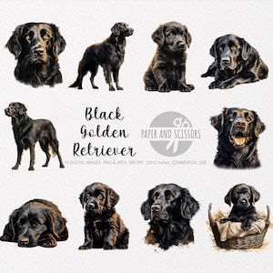 Schwarze Golden Retriever Clipart, Golden Retriever PNG, Golden Retriever Illustration, Hund Clipart, Hund PNG, Hund Aquarell, Hund Wandkunst, Hund
