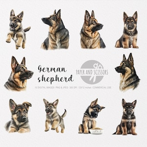 German Shepherd Clipart, German Shepherd PNG, German Shepherd illustration, Dog Clipart, Transparent background, Instant download, 12x12