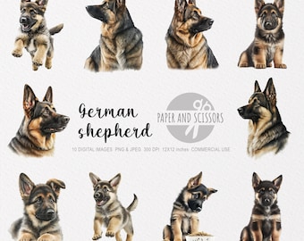 German Shepherd Clipart, German Shepherd PNG, German Shepherd illustration, Dog Clipart, Transparent background, Instant download, 12x12